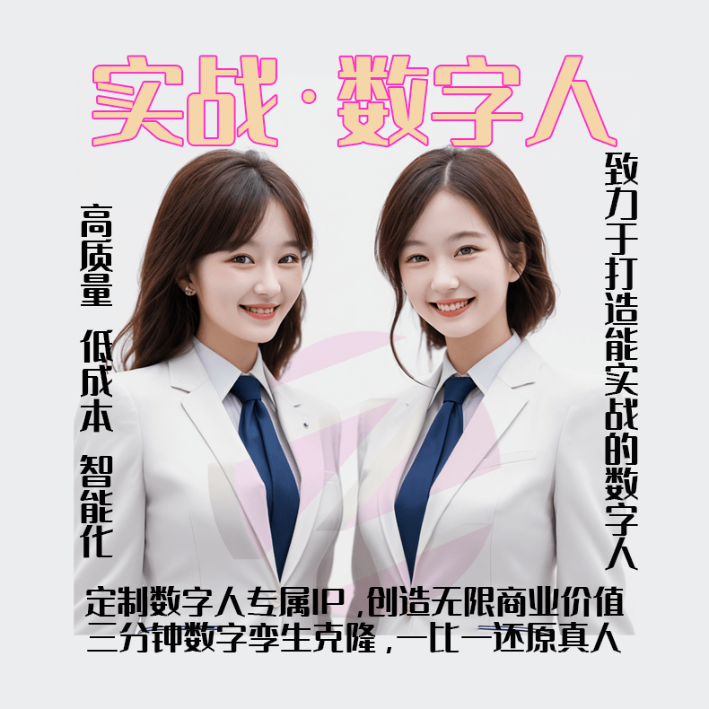 实战VIP数字人